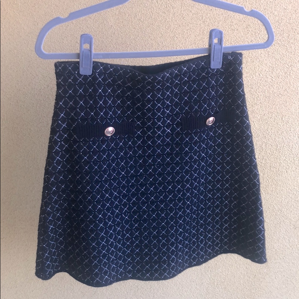 Zara Skirt